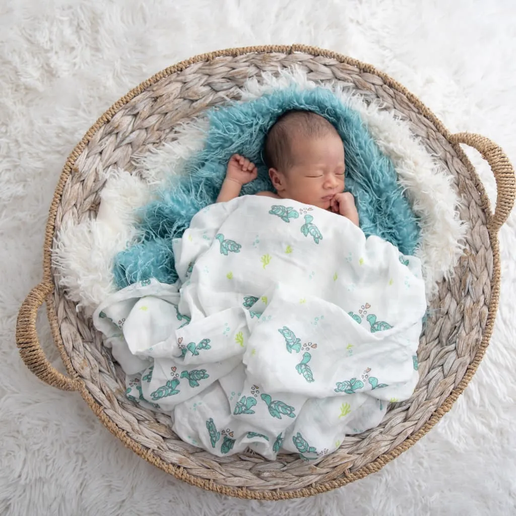 Best Selling Swaddle Bundle