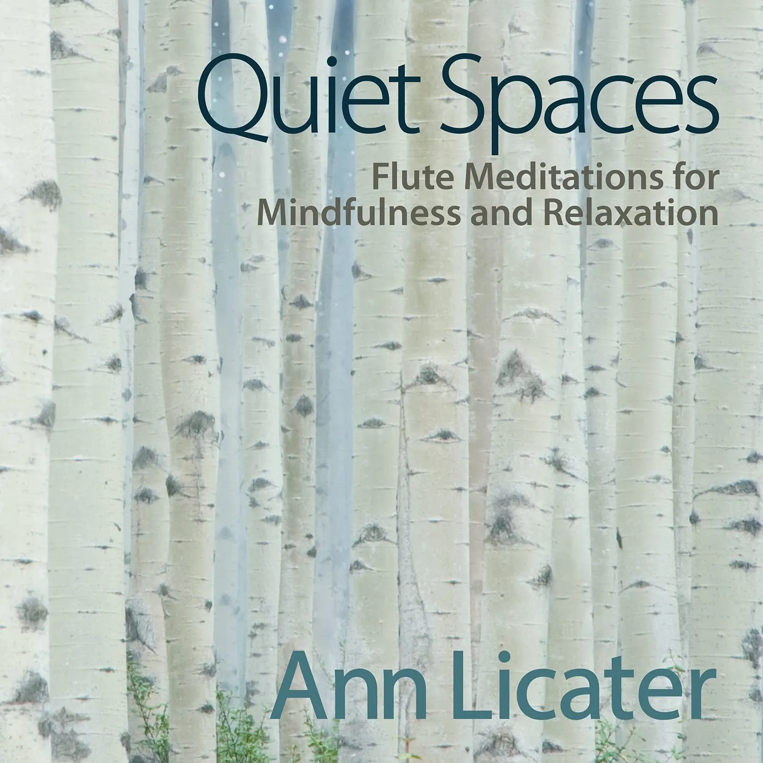 Quiet Spaces: Flute Meditations For Mindfulness & Relaxation